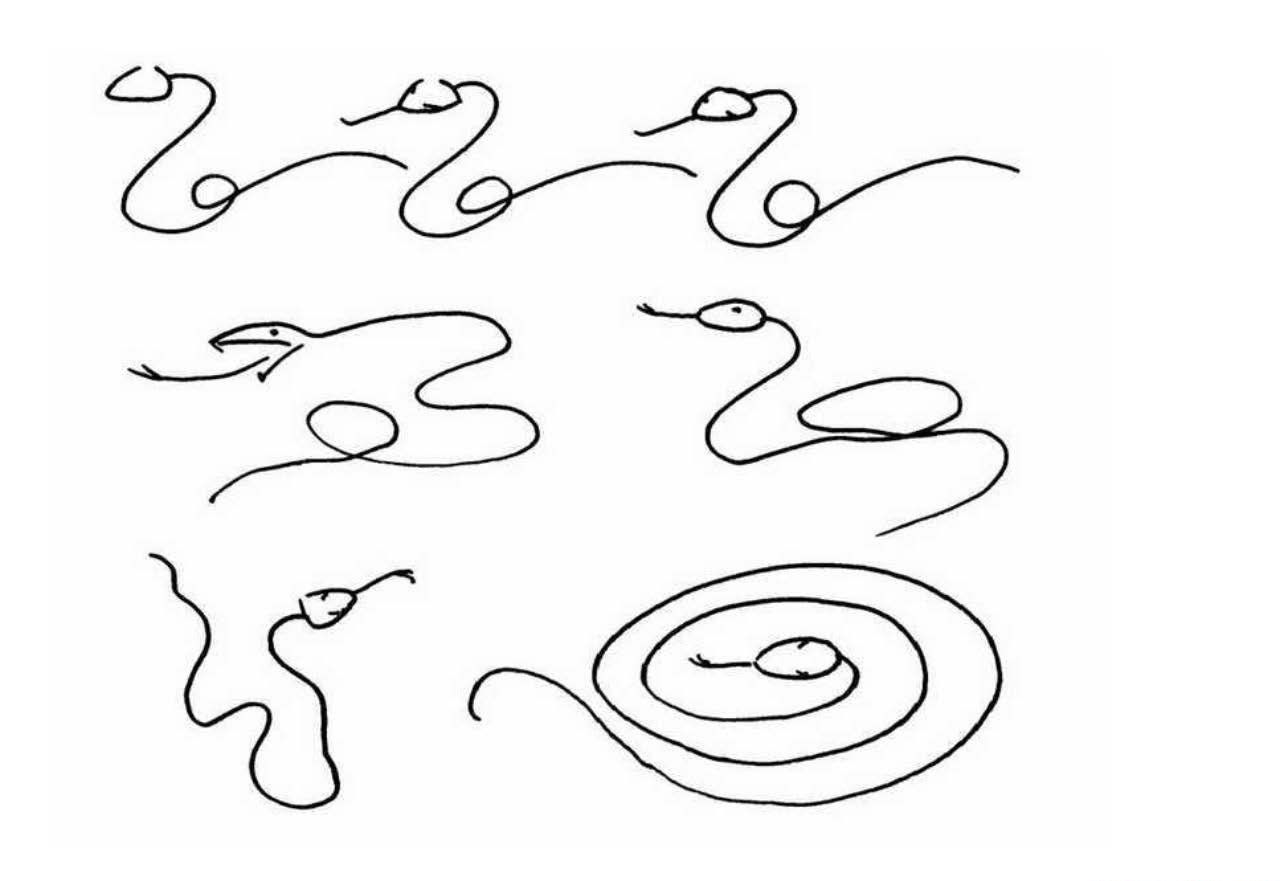 可爱眼镜蛇简笔画画法图片步骤（儿童画春节简单） - 有点网 - 好手艺